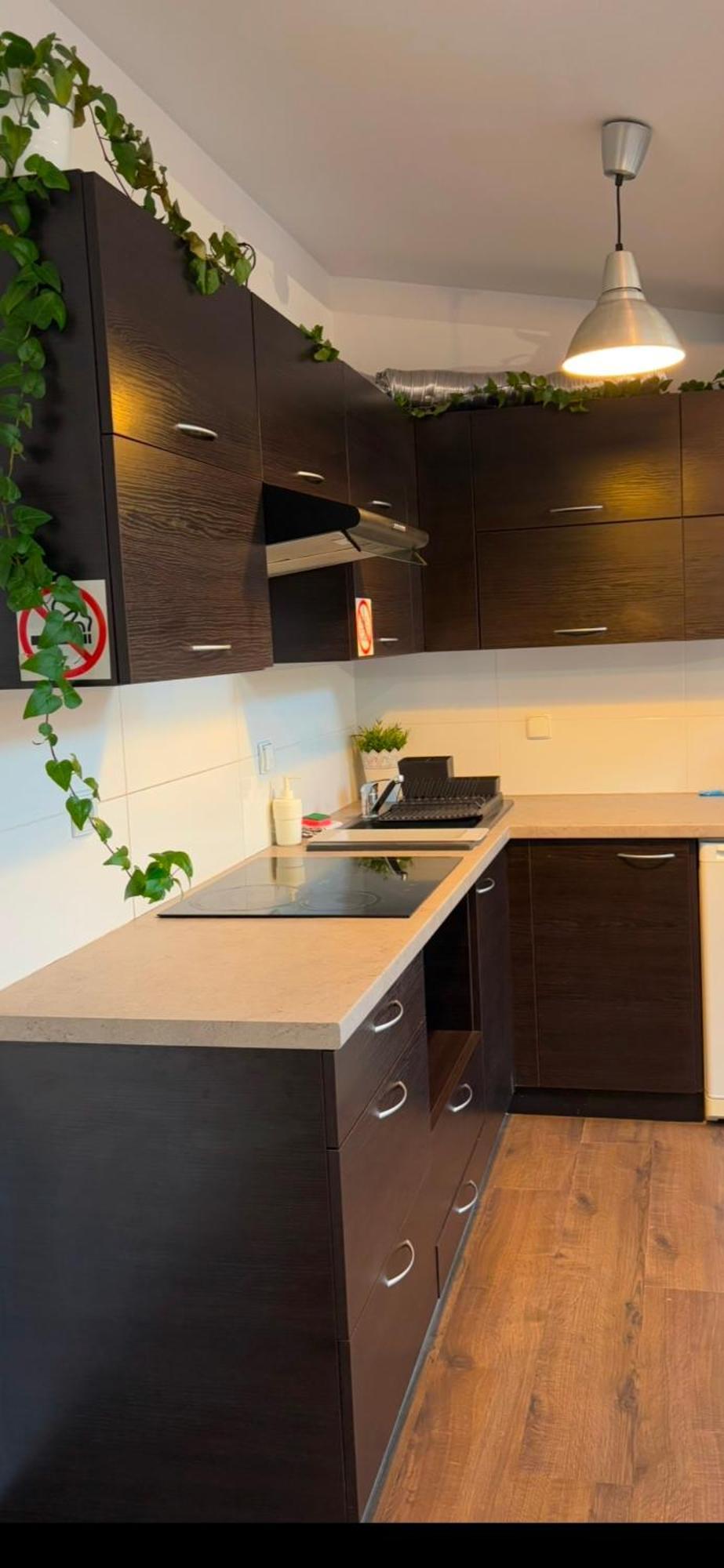 Apartament Szafir 4B Rzeszów Eksteriør billede
